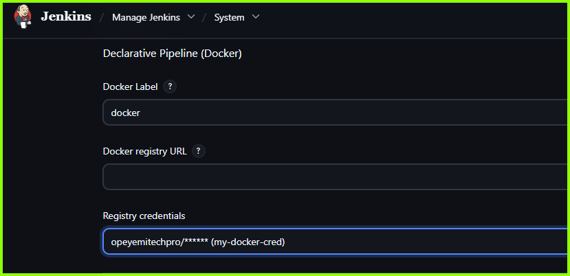 Declarative Pipeline (Docker) Settings